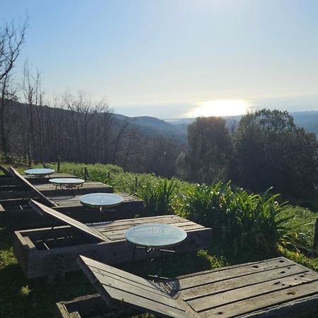 Domaine Colonna-Santini, Gite Piscine, Sauna, Spa Porri Luaran gambar