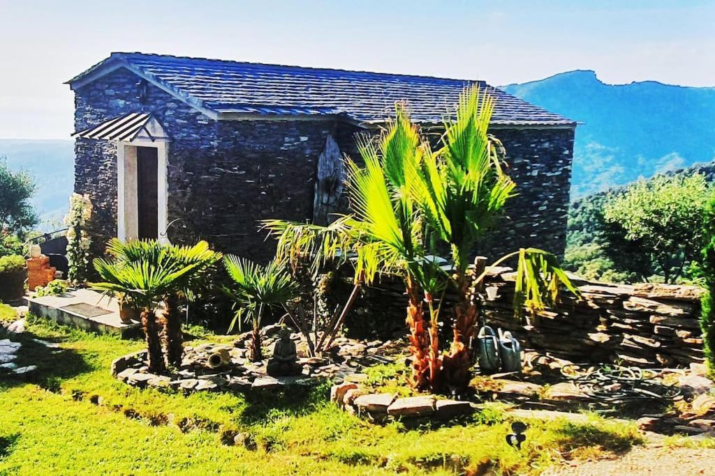 Domaine Colonna-Santini, Gite Piscine, Sauna, Spa Porri Luaran gambar