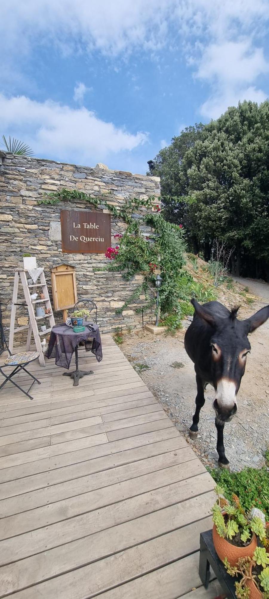 Domaine Colonna-Santini, Gite Piscine, Sauna, Spa Porri Luaran gambar